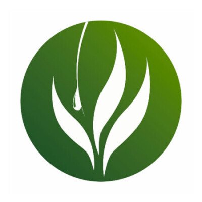 Profile picture of PARAMOUNT